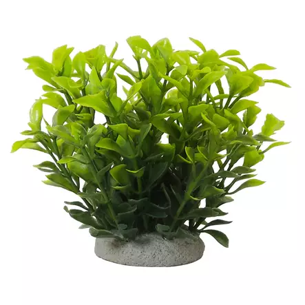 Nobby Aqua Ornaments Ludwigia Green - Aquarium Decorations - 4033766287671 - 1