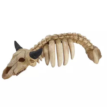 Nobby "Animal Skeleton" 28707 - Aquarium Decorations - 4033766287077 - 1