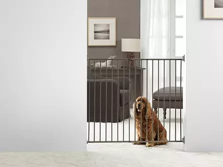 Savic Dog Barrier Koiraportti 95cm - Hundgårdar och grindar - 5411388032128 - 1