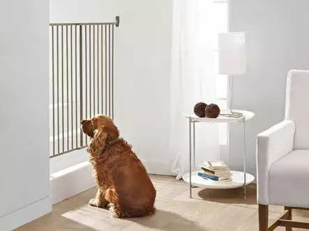 Savic Dog Barrier Koiraportti 95cm - Hundgårdar och grindar - 5411388032128 - 2